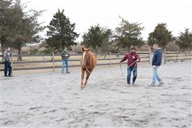 LR-2025-03-15 Retreat-1375